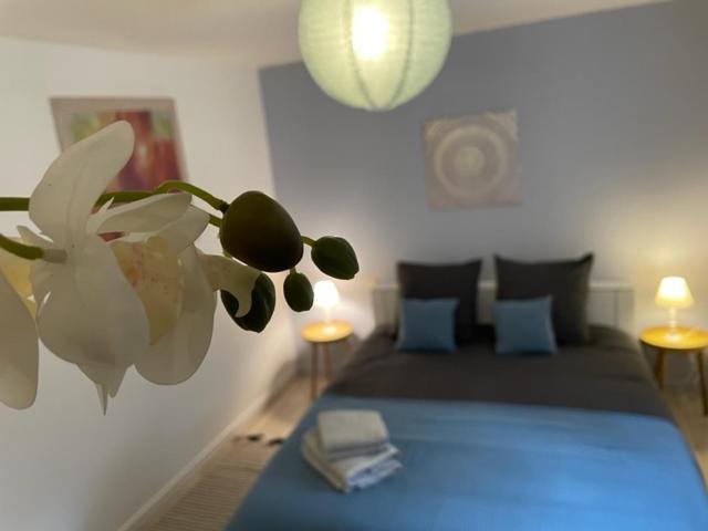 Cosy Hyper Centre Apartment *